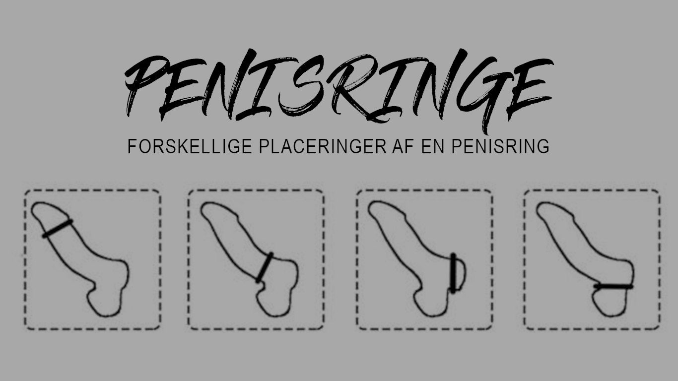 penisringe placering